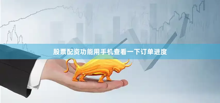 股票配资功能用手机查看一下订单进度